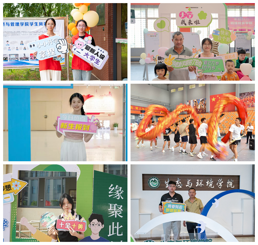 拼图2.jpg 拼图2.jpg