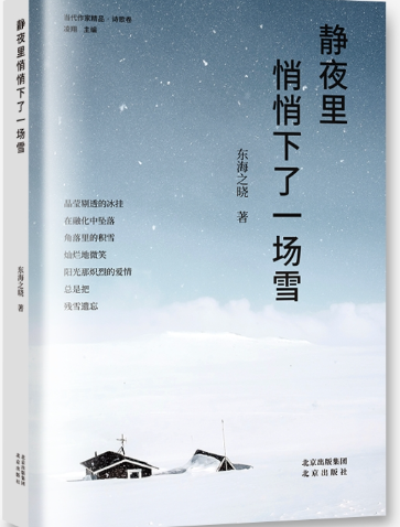 静夜里悄悄下了一场雪.png 静夜里悄悄下了一场雪.png