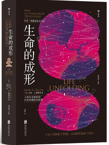 生命的成形.png 生命的成形.png