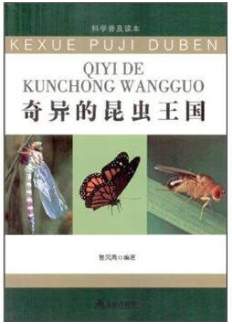 奇异的昆虫王国.png 奇异的昆虫王国.png