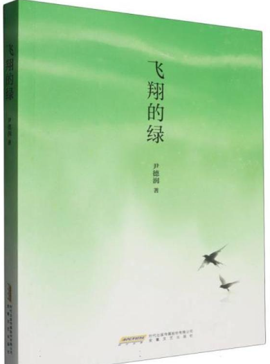 飞翔的绿.png