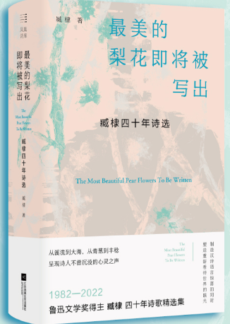 最美的梨花即将被写出.png 最美的梨花即将被写出.png